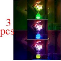 3 Pcs