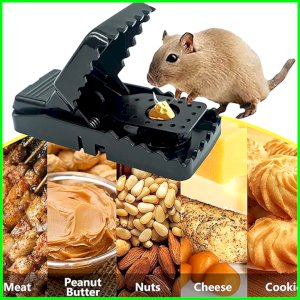 Rat trap